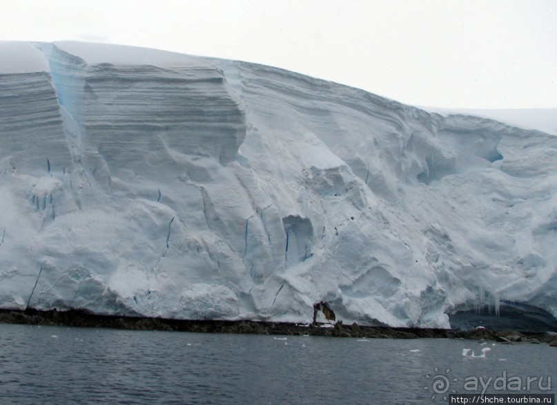 Yalour is. - самая южная точка пути. Знакомьтесь - айсдятел