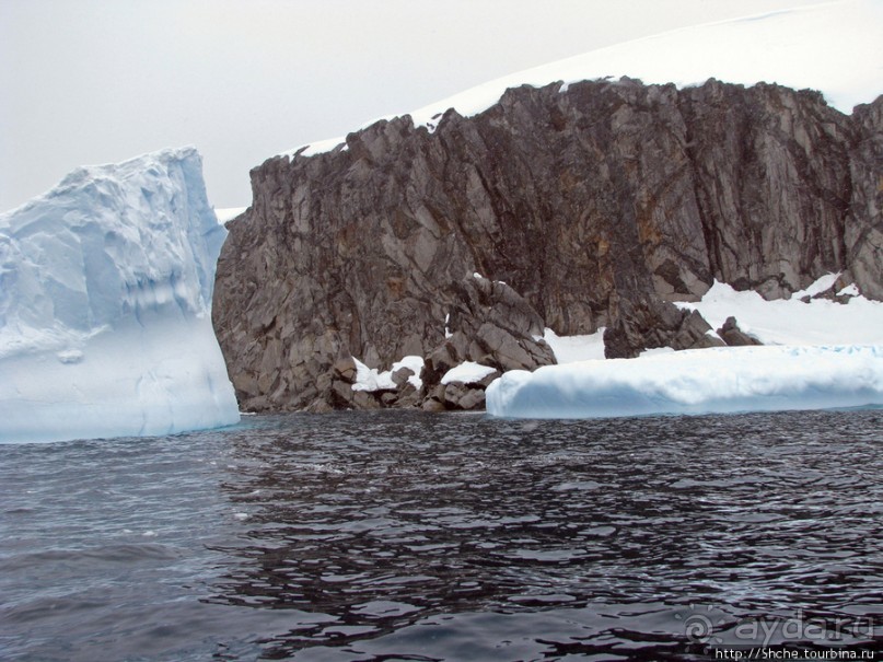 Yalour is. - самая южная точка пути. Знакомьтесь - айсдятел