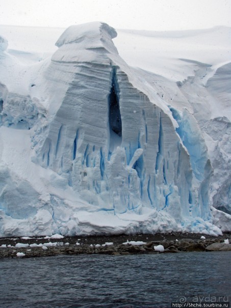 Yalour is. - самая южная точка пути. Знакомьтесь - айсдятел