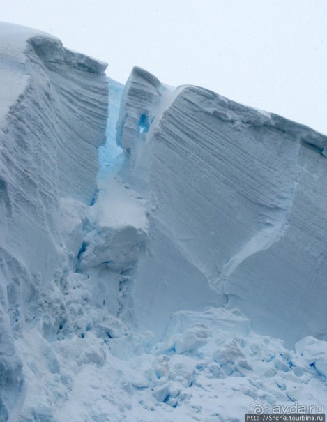 Yalour is. - самая южная точка пути. Знакомьтесь - айсдятел