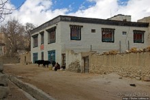 "Благословения и удачи" — проживание в столице Мустанга