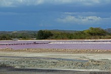 Солончаки на Кабо Рохо