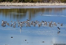 Солончаки на Кабо Рохо