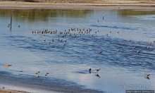 Солончаки на Кабо Рохо