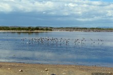 Солончаки на Кабо Рохо