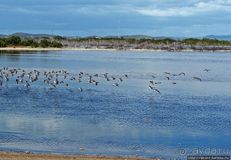 Солончаки на Кабо Рохо