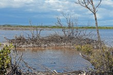 Солончаки на Кабо Рохо