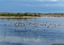 Солончаки на Кабо Рохо