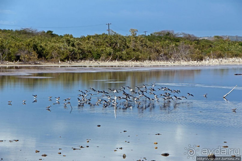 Солончаки на Кабо Рохо Солончаки на Кабо Рохо
