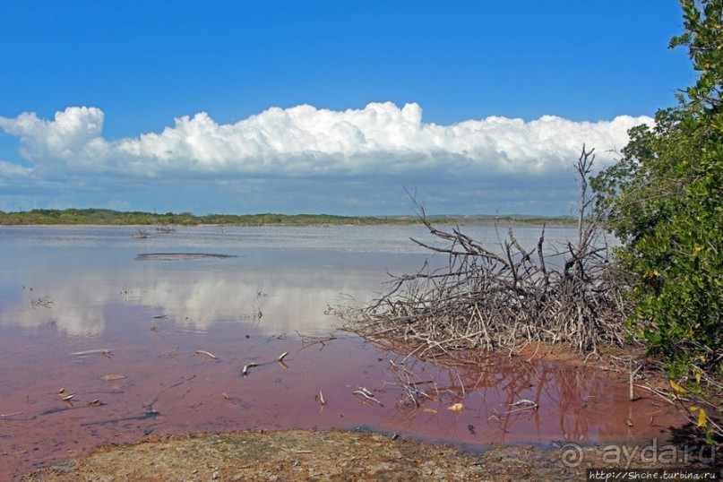 Солончаки на Кабо Рохо Солончаки на Кабо Рохо