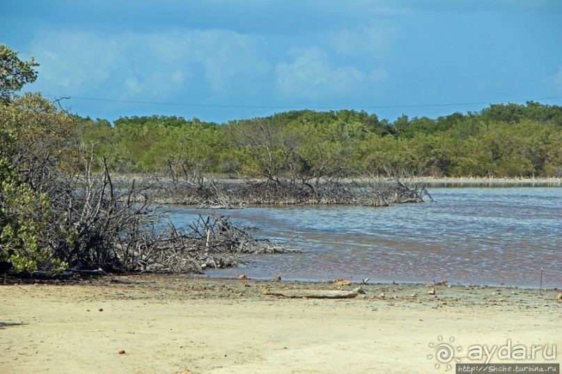 Солончаки на Кабо Рохо Солончаки на Кабо Рохо
