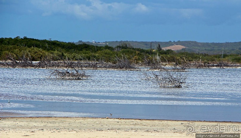 Солончаки на Кабо Рохо Солончаки на Кабо Рохо
