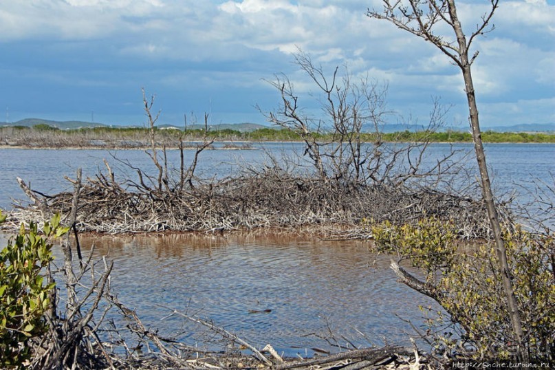 Солончаки на Кабо Рохо Солончаки на Кабо Рохо