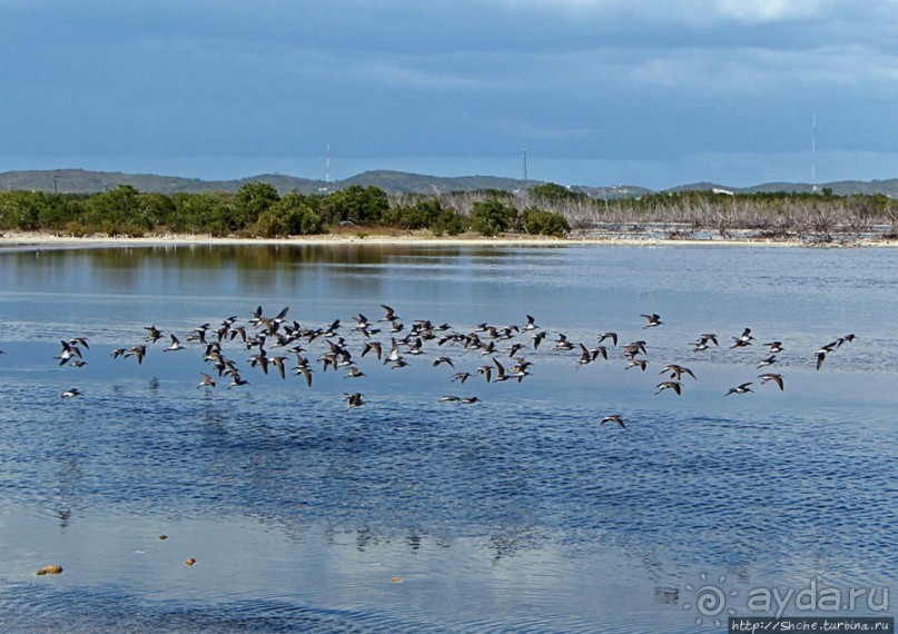 Солончаки на Кабо Рохо Солончаки на Кабо Рохо