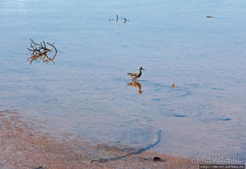 Солончаки на Кабо Рохо Солончаки на Кабо Рохо