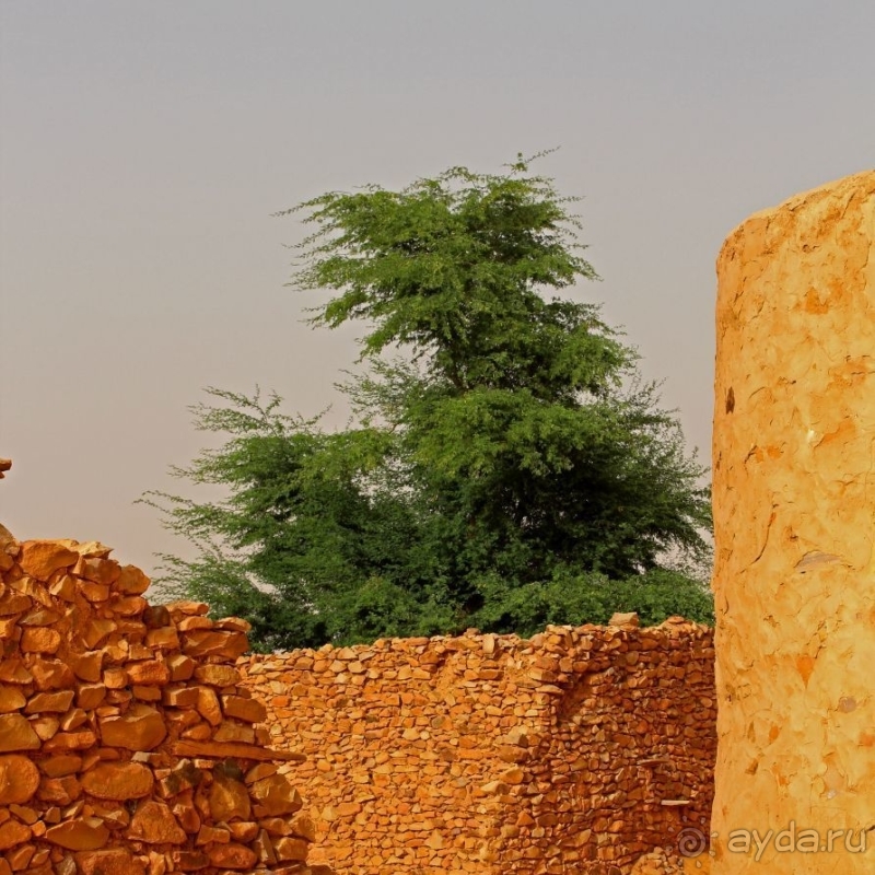 Перекресток пустынных дорог. Ксар Шингетти (ЮНЕСКО №750-002)