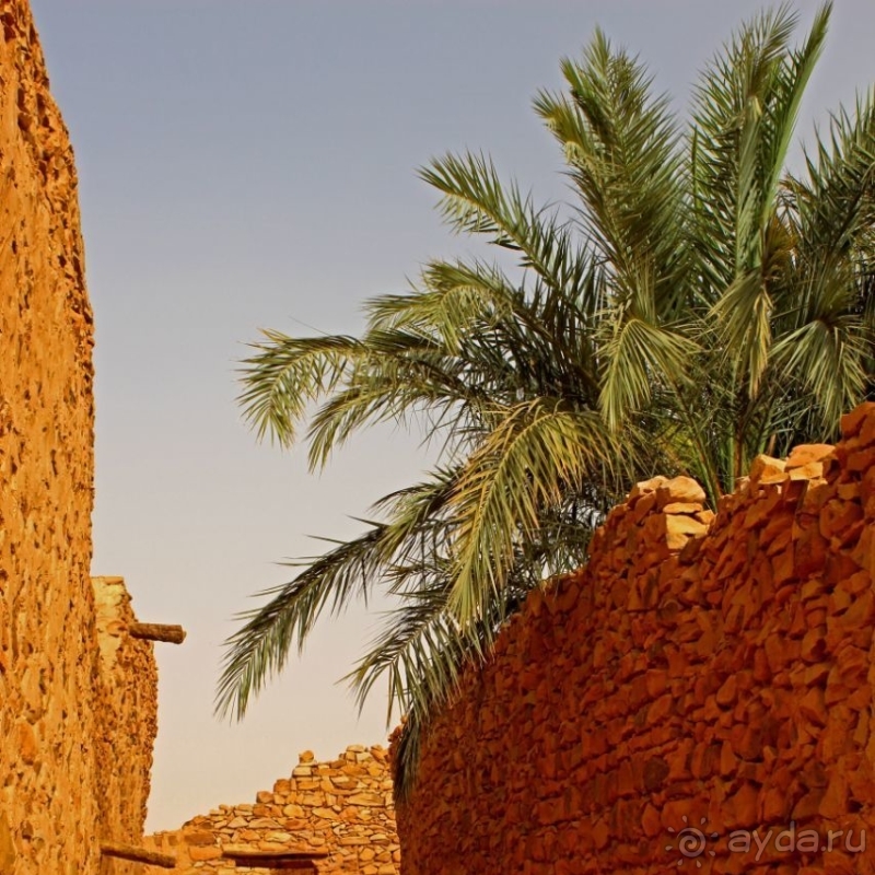 Перекресток пустынных дорог. Ксар Шингетти (ЮНЕСКО №750-002)