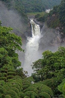 Сан-Рафаэль — самый крупный и мощный водопад Эквадора