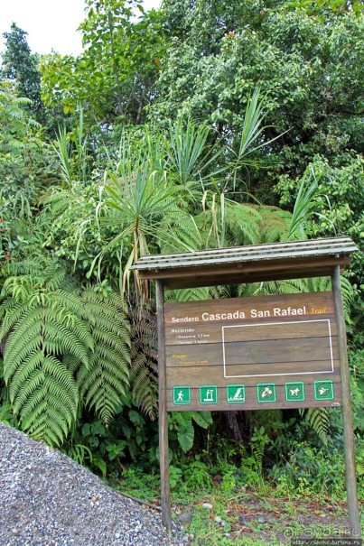 Сан-Рафаэль — самый крупный и мощный водопад Эквадора