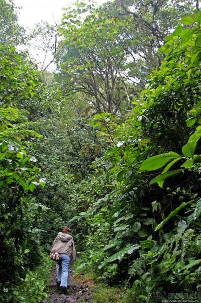 Сан-Рафаэль — самый крупный и мощный водопад Эквадора