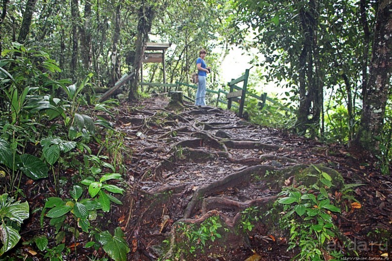 Сан-Рафаэль — самый крупный и мощный водопад Эквадора
