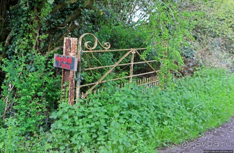 Мельница Уитли — добро пожаловать... 6 раз в год