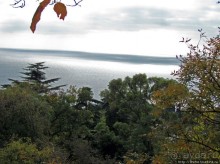 Ясный октябрьский день в Никитском ботаническом саду