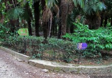 Ясный октябрьский день в Никитском ботаническом саду