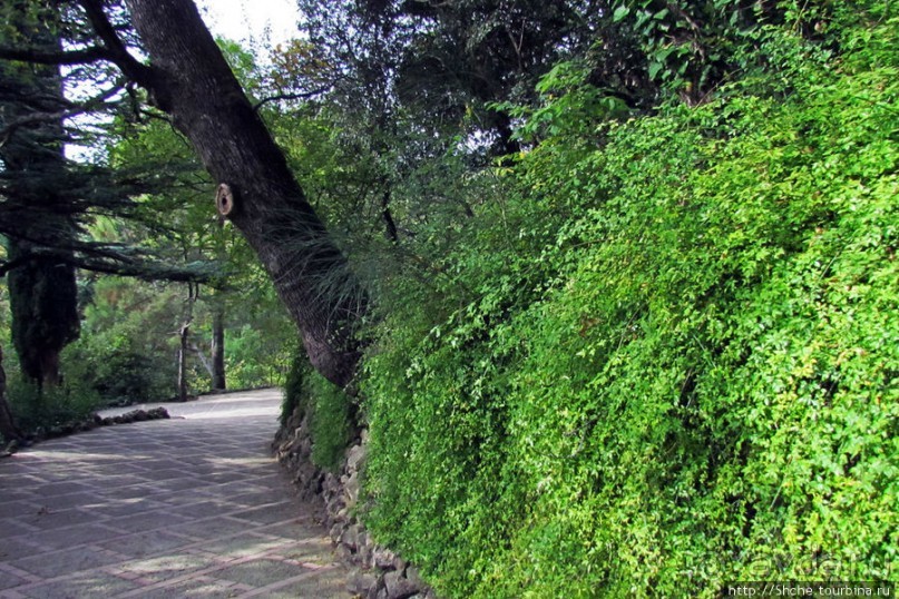 Ясный октябрьский день в Никитском ботаническом саду