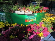 Ясный октябрьский день в Никитском ботаническом саду