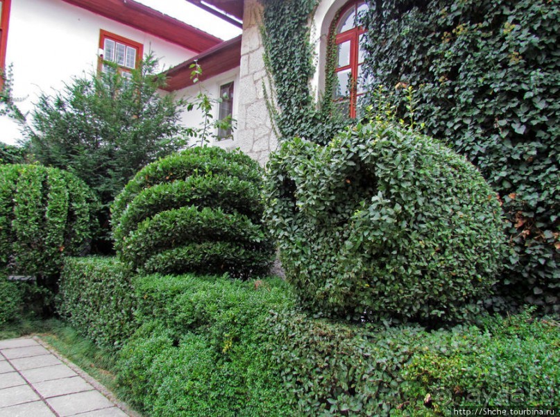 Ясный октябрьский день в Никитском ботаническом саду