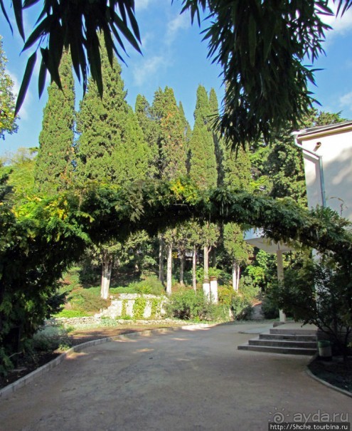 Ясный октябрьский день в Никитском ботаническом саду