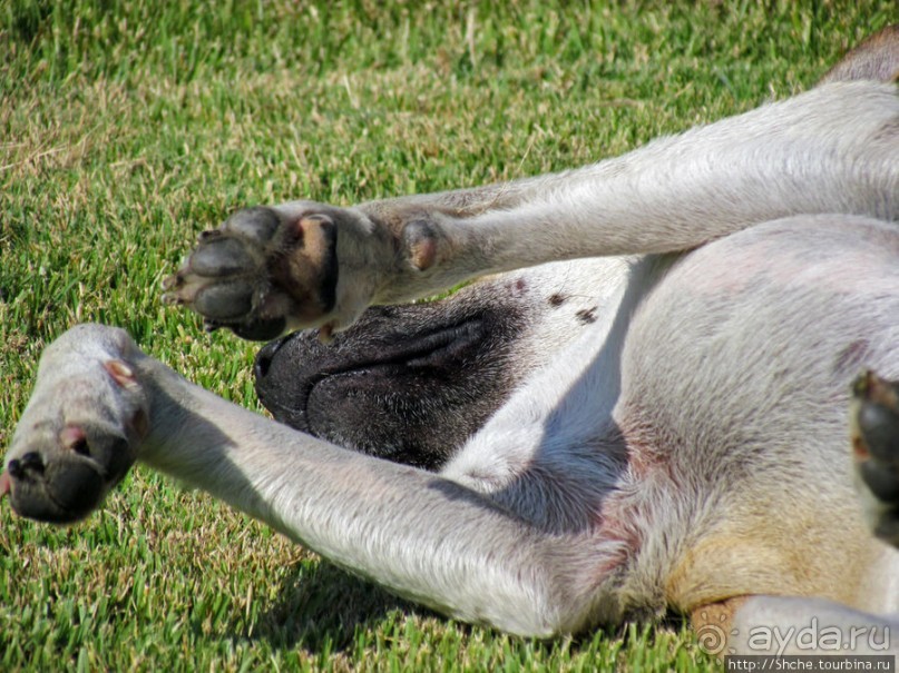 Ясный октябрьский день в Никитском ботаническом саду