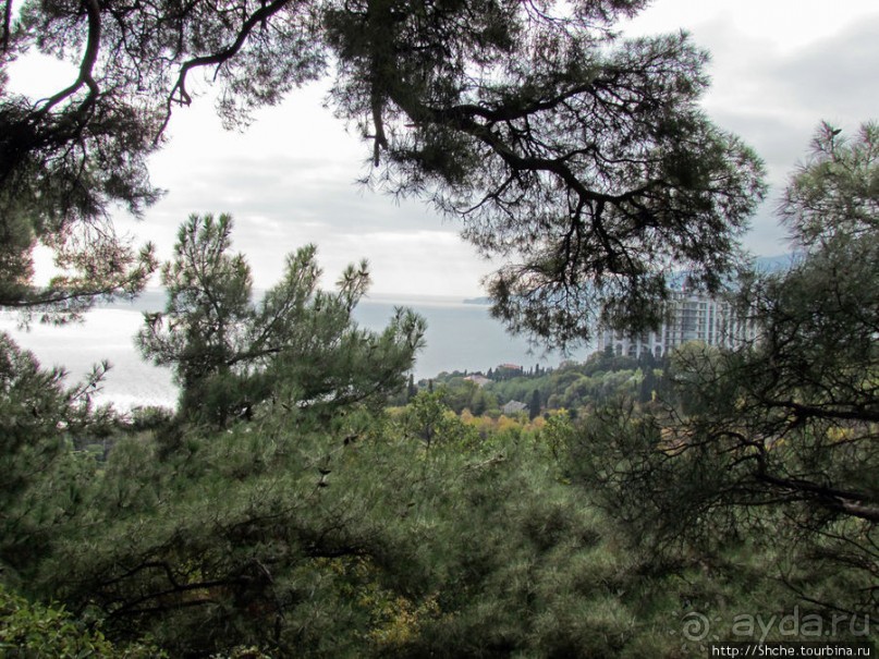 Ясный октябрьский день в Никитском ботаническом саду