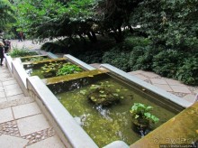 Ясный октябрьский день в Никитском ботаническом саду