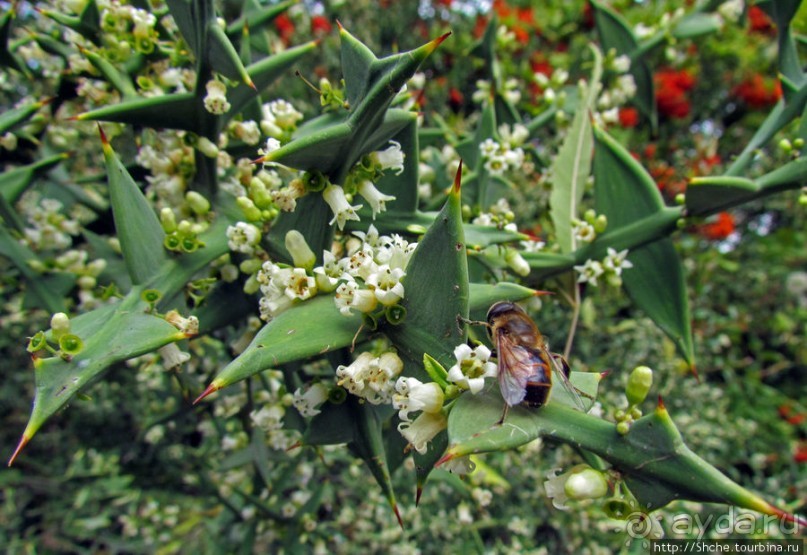 Ясный октябрьский день в Никитском ботаническом саду