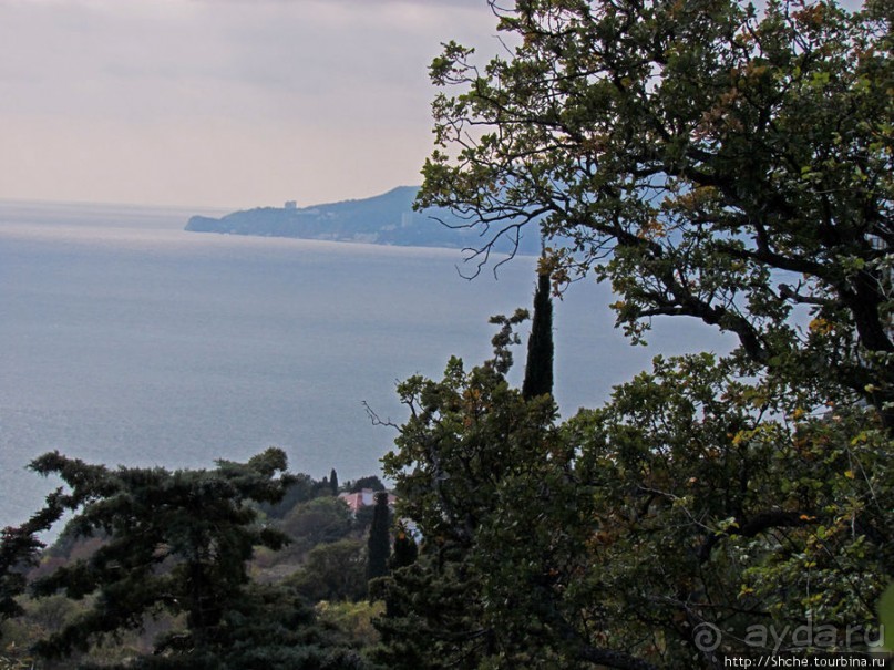 Ясный октябрьский день в Никитском ботаническом саду