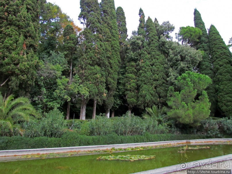 Ясный октябрьский день в Никитском ботаническом саду