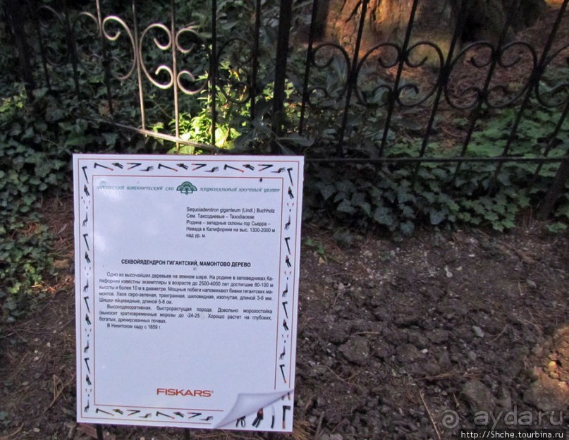 Ясный октябрьский день в Никитском ботаническом саду