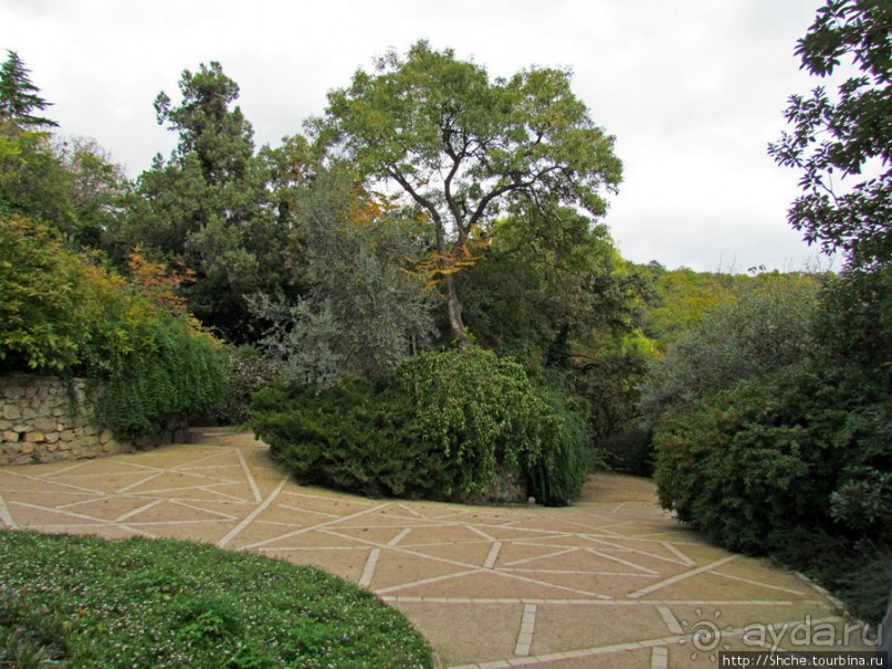 Ясный октябрьский день в Никитском ботаническом саду