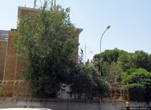 Никосия - единственная в мире "разделенная" столица