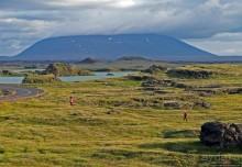 Миватн — комариное озеро