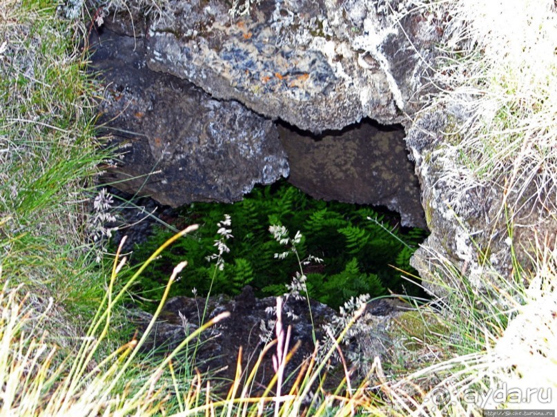 Миватн — комариное озеро