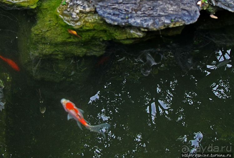 Пагода Чан Куок — место сколь живописное, столь и скорбное