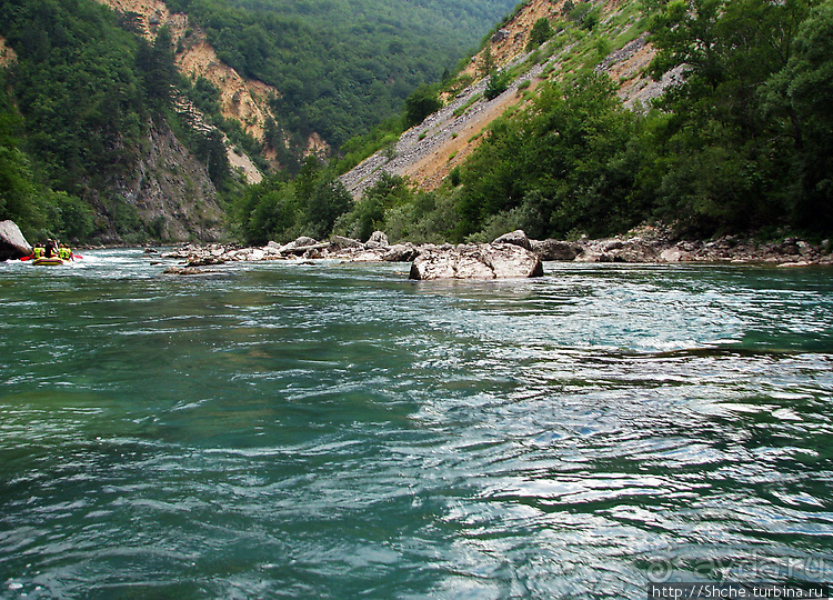 Бурлящие и не очень воды реки Тара... Рафтинг для "чайников"