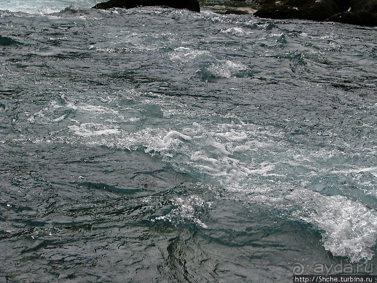 Бурлящие и не очень воды реки Тара... Рафтинг для "чайников"