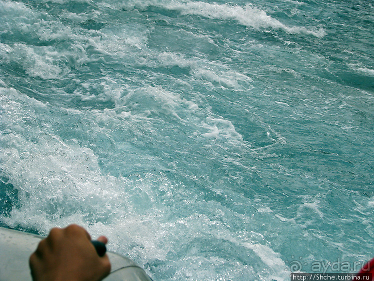 Бурлящие и не очень воды реки Тара... Рафтинг для "чайников"