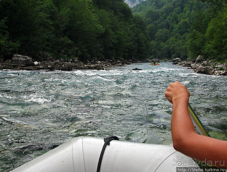 Бурлящие и не очень воды реки Тара... Рафтинг для "чайников"