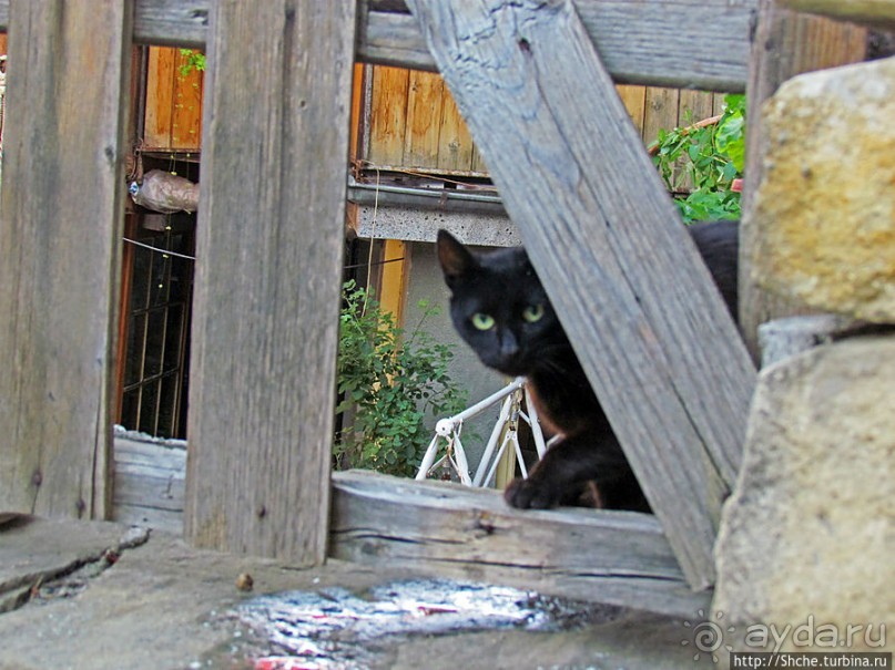 Улочки меж каменных оград. Этнографический комплекс "Вароша"