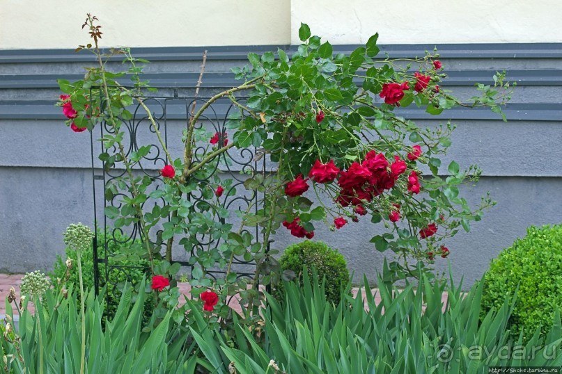 Святилище Летичевской Богоматери — покровительницы Подолья